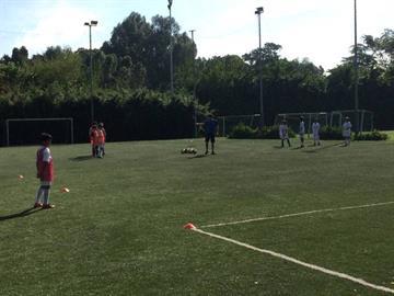 The RainForest Sports Hub (Turf City)